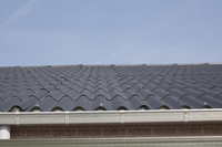 Varkensstal in Hoeselt