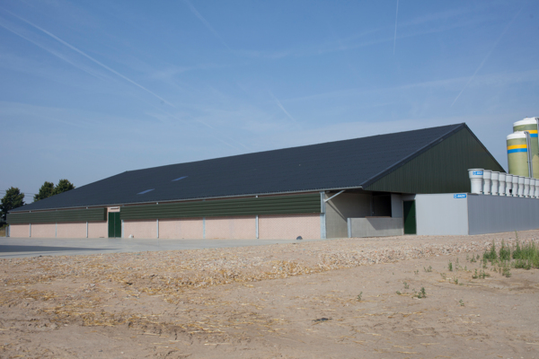 Varkensstal in Hoeselt