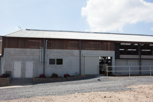 Bovins laitiers & viande à Wortegem-Petegem